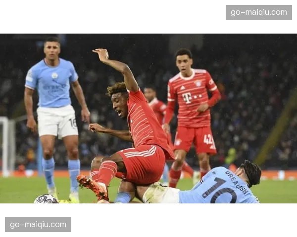 慕尼黑地方法院审理一桩涉及德甲比赛门票欺诈的网络案件 慕尼黑地方法院审理一桩涉及德甲比赛门票欺诈的网络案件